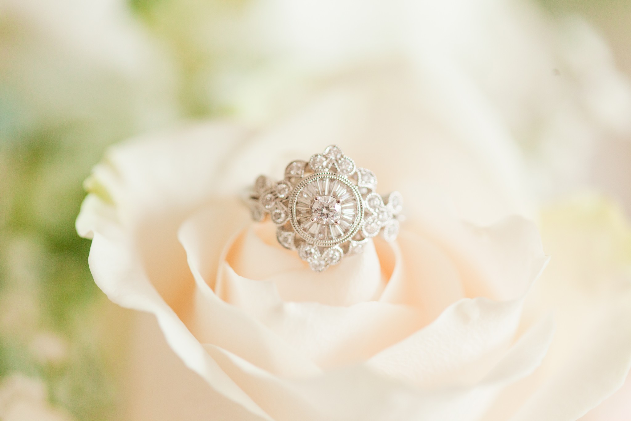 a photograph of our engagement ring on rose petals