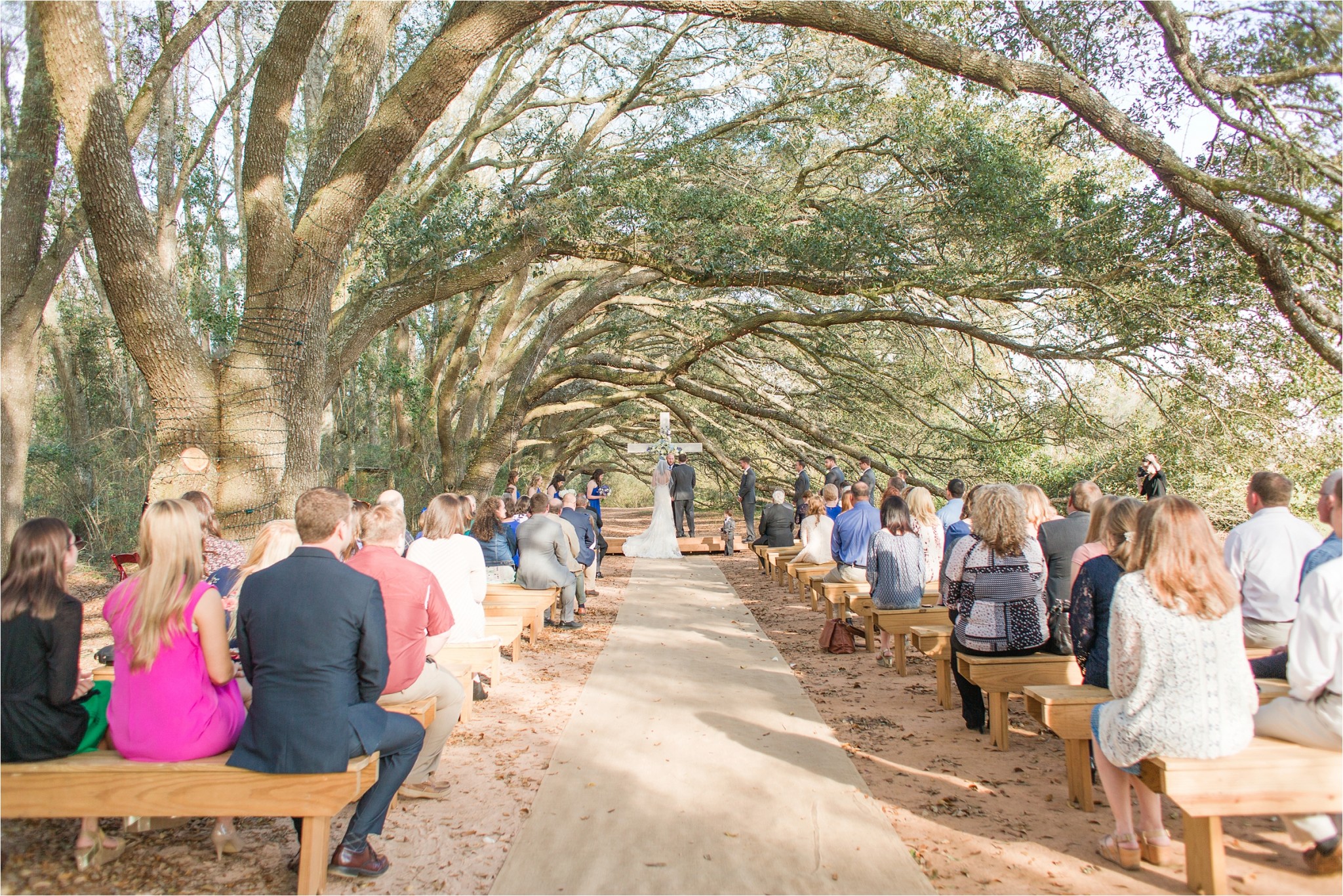 Lewis_Oak_Hollow_Wedding_Fairhope_AL_0142