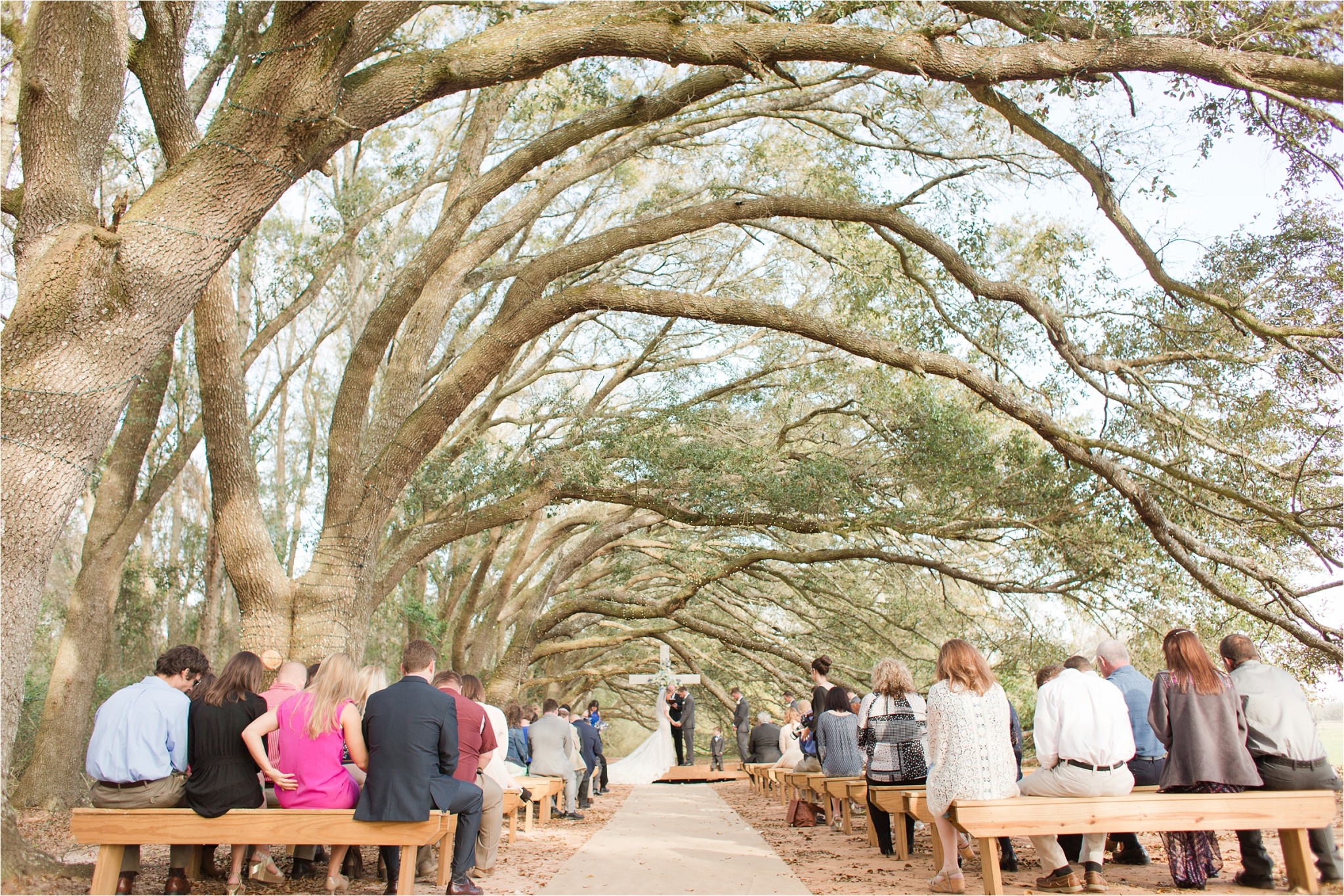 Lewis_Oak_Hollow_Wedding_Fairhope_AL_0144