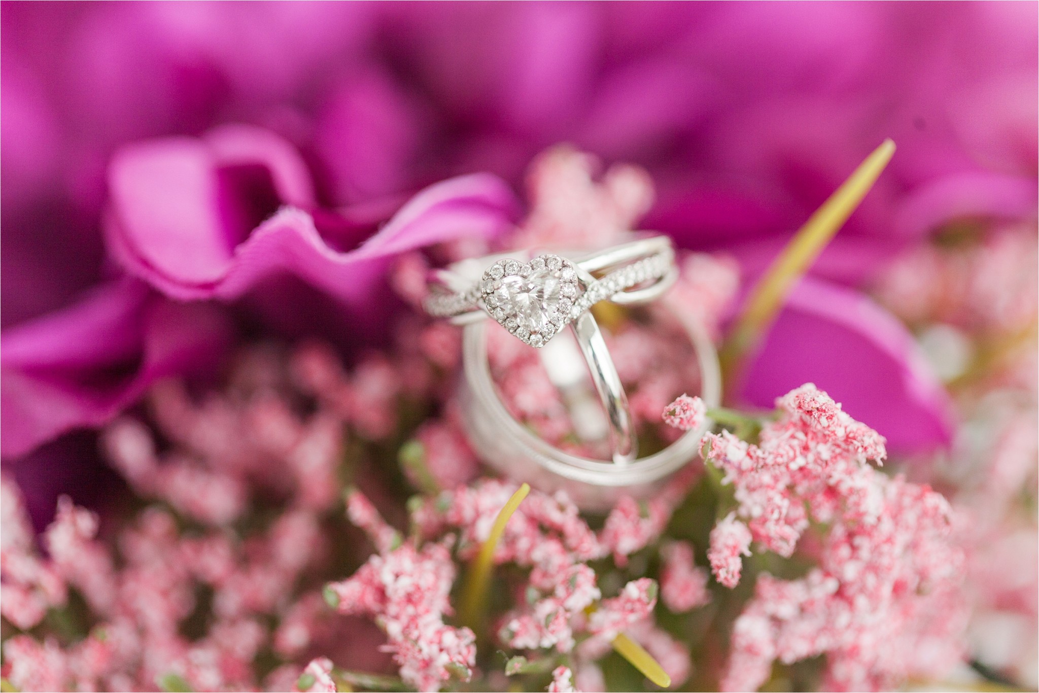 These purple flowers were the perfect backdrop for their rings!