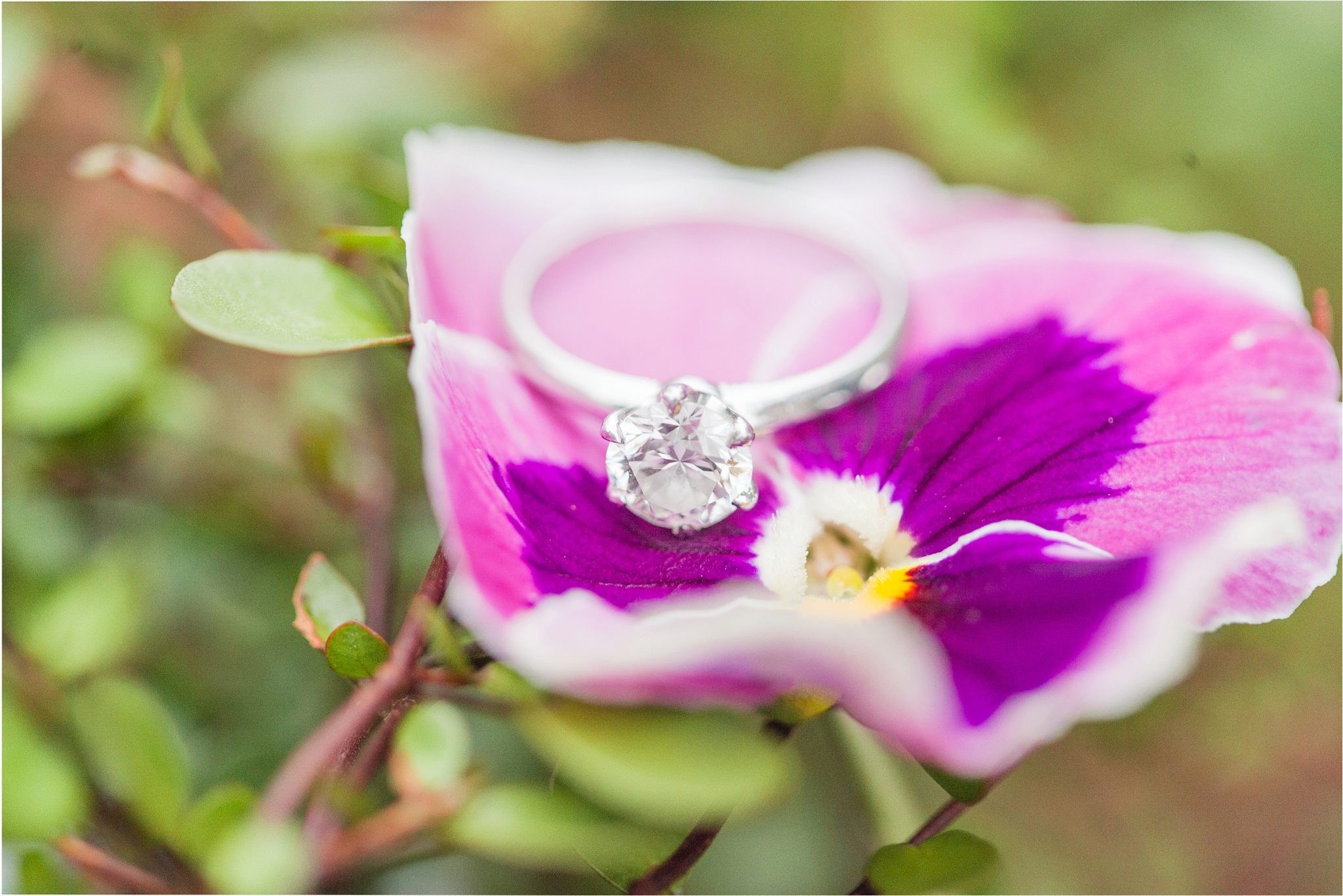 Bella Sera Gardens Engagement Session, the ring!