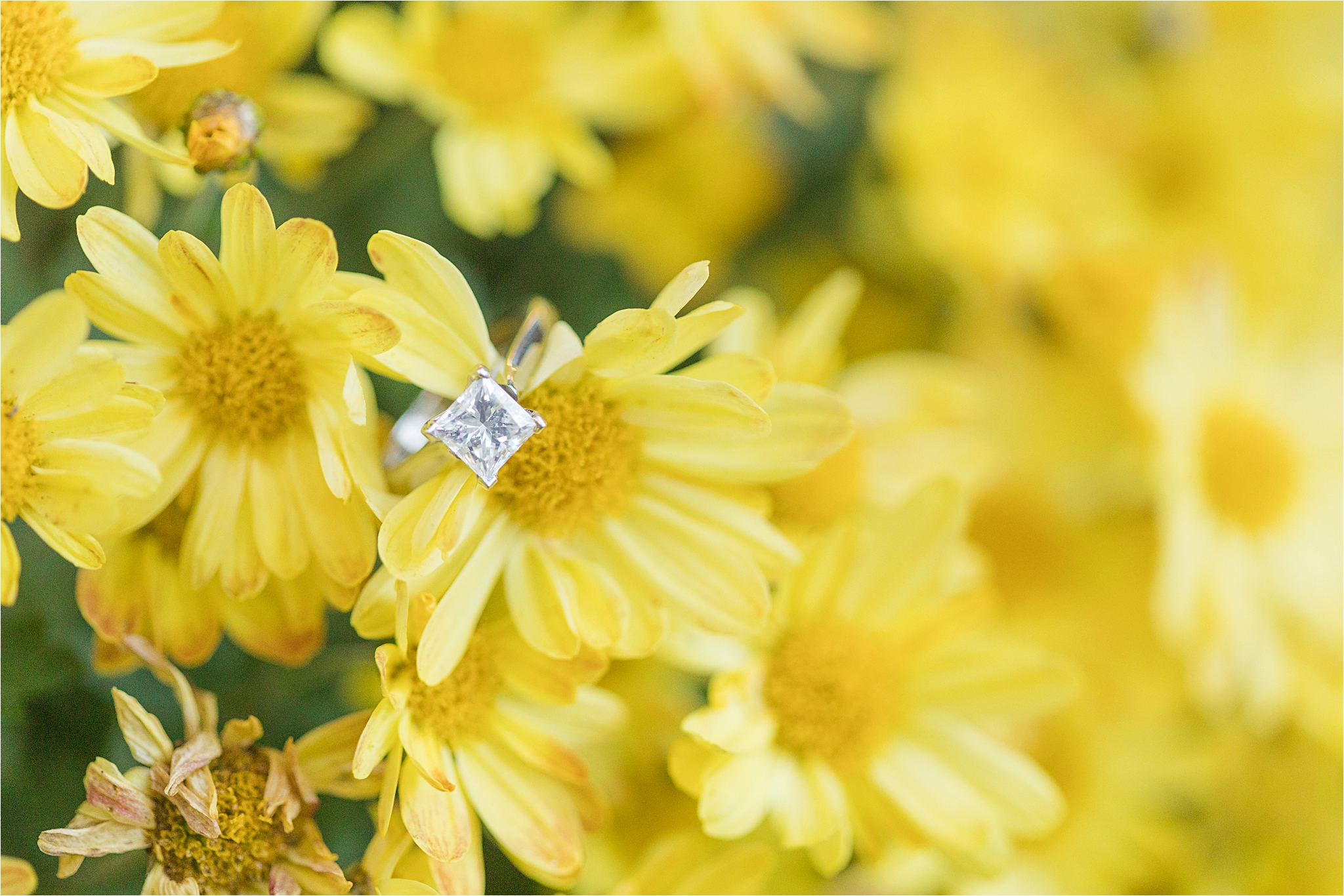 Princess-cut-engagement-ring-white-gold-1-carrot-alabama-wedding-photographer