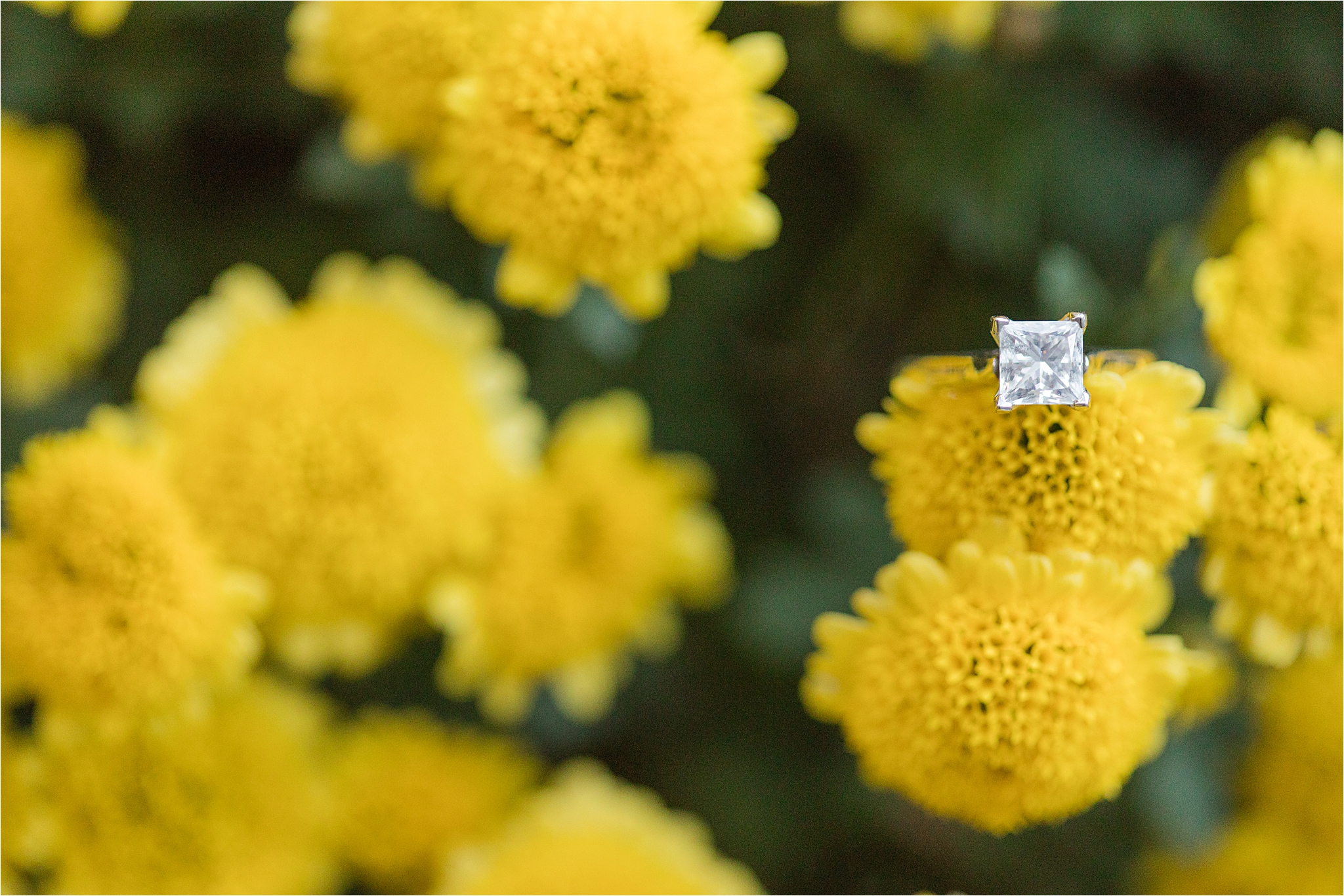 Princess-cut-engagement-ring-white-gold-1-carrot-alabama-wedding-photographer