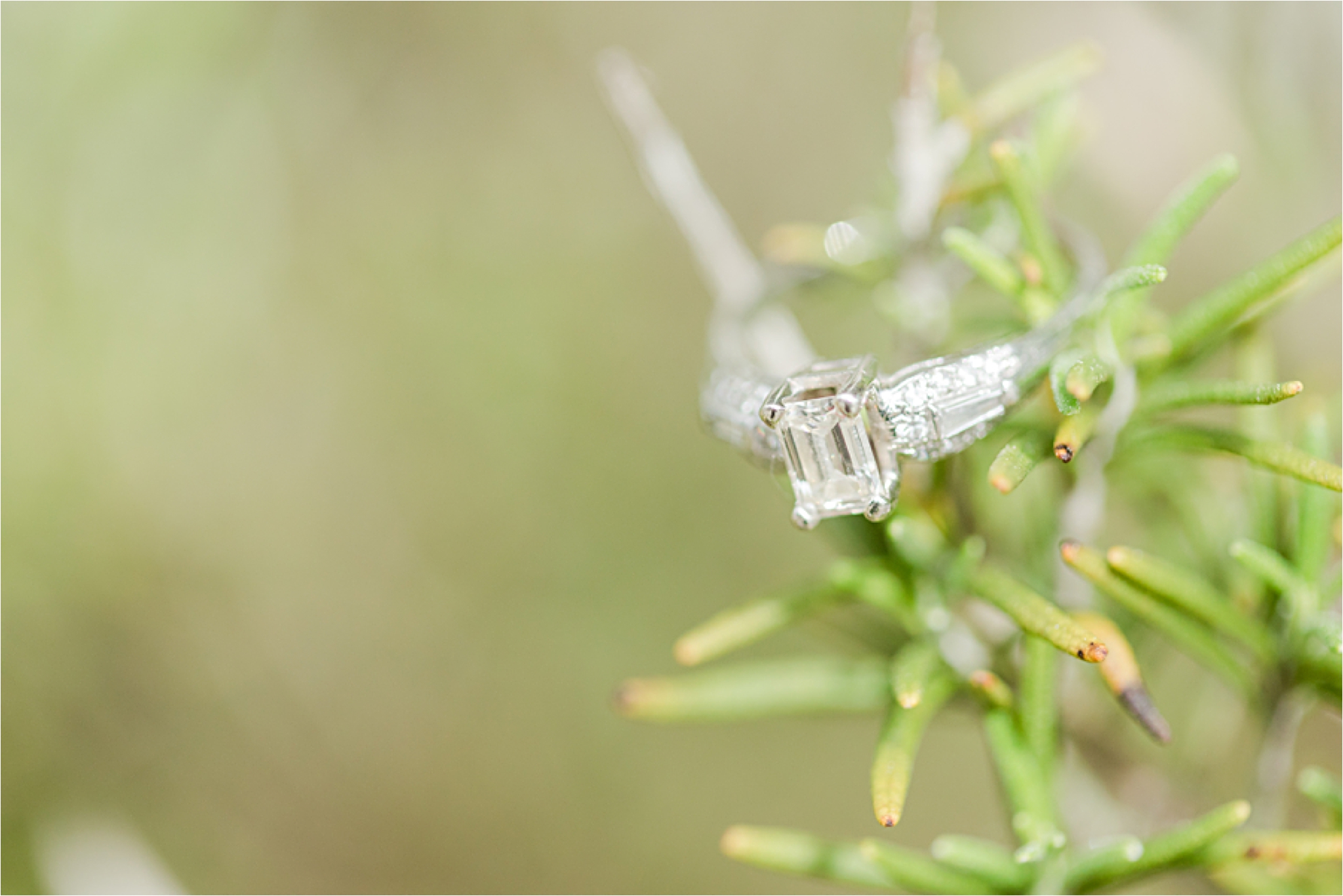 engagement-emerald-cut-diamond-three-stone-3-alabama-wedding-photographer-session