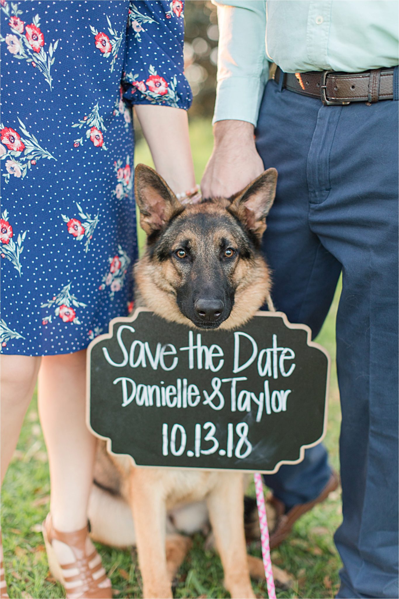 save the date-engagement session-puppy-dog-sign-announcement