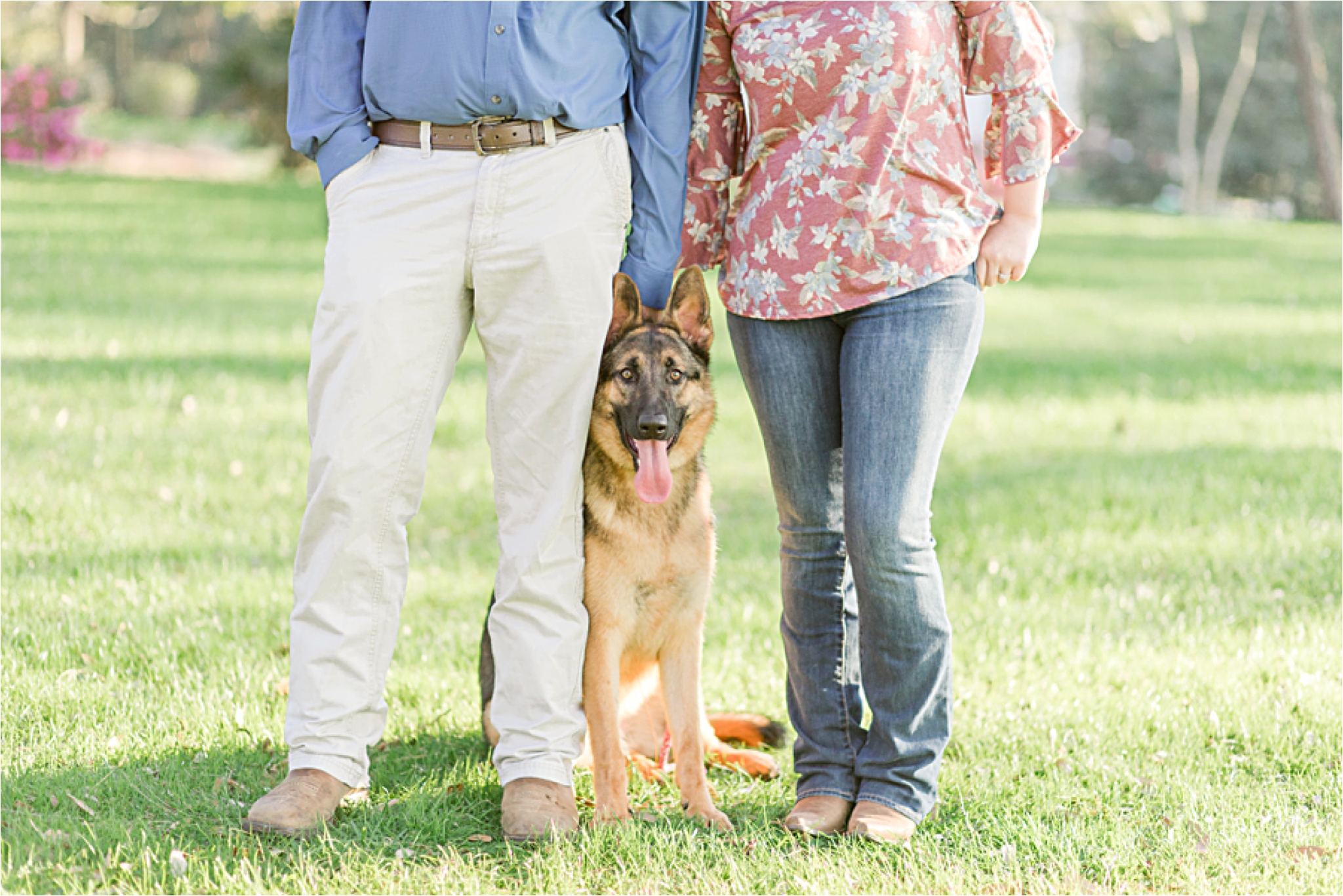 alabama-wedding-photographer-engagement-photos-session-dog-family-german-shepherd