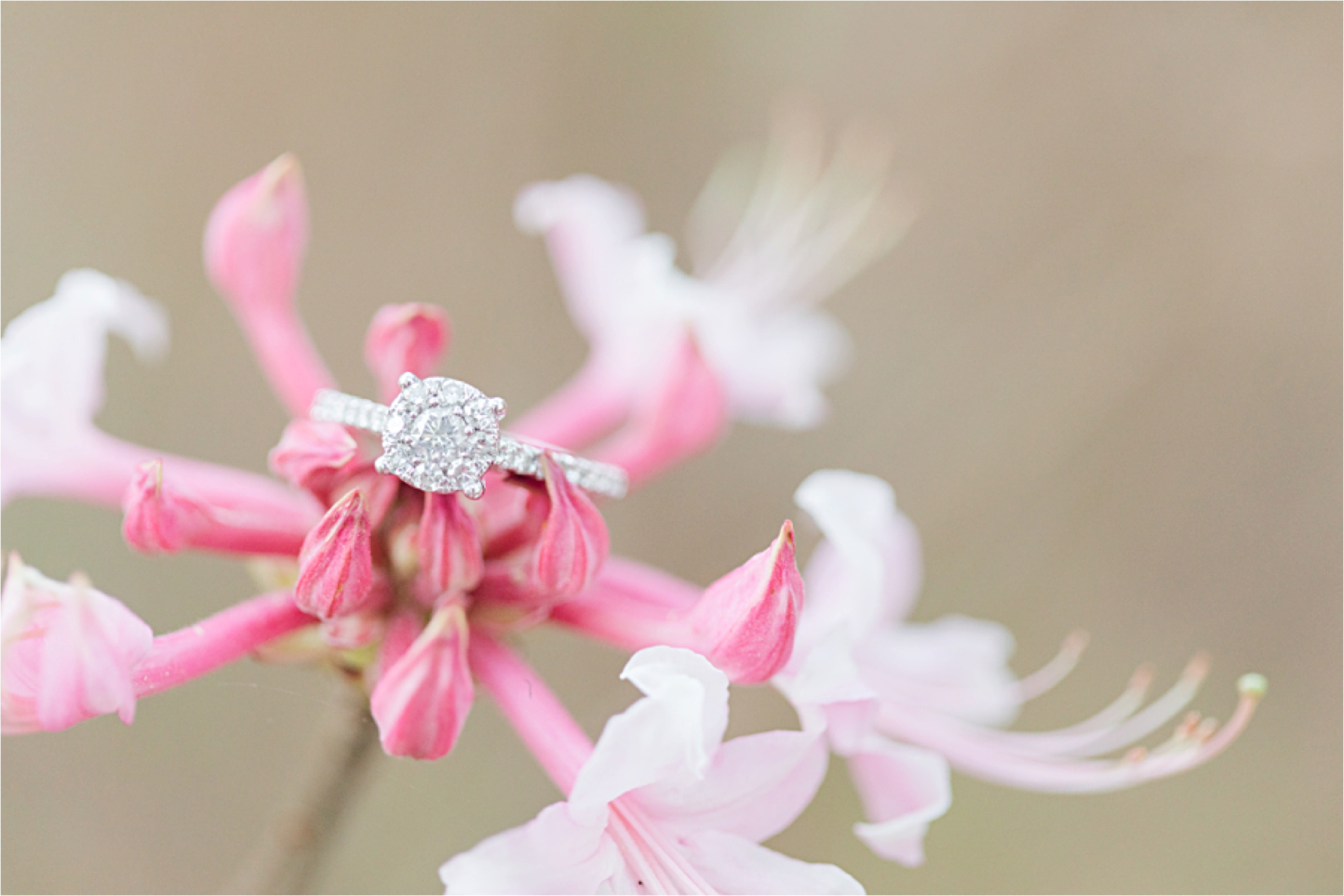 Round-diamond-cut-engagement-ring-infinity-band-four-prong-white-gold