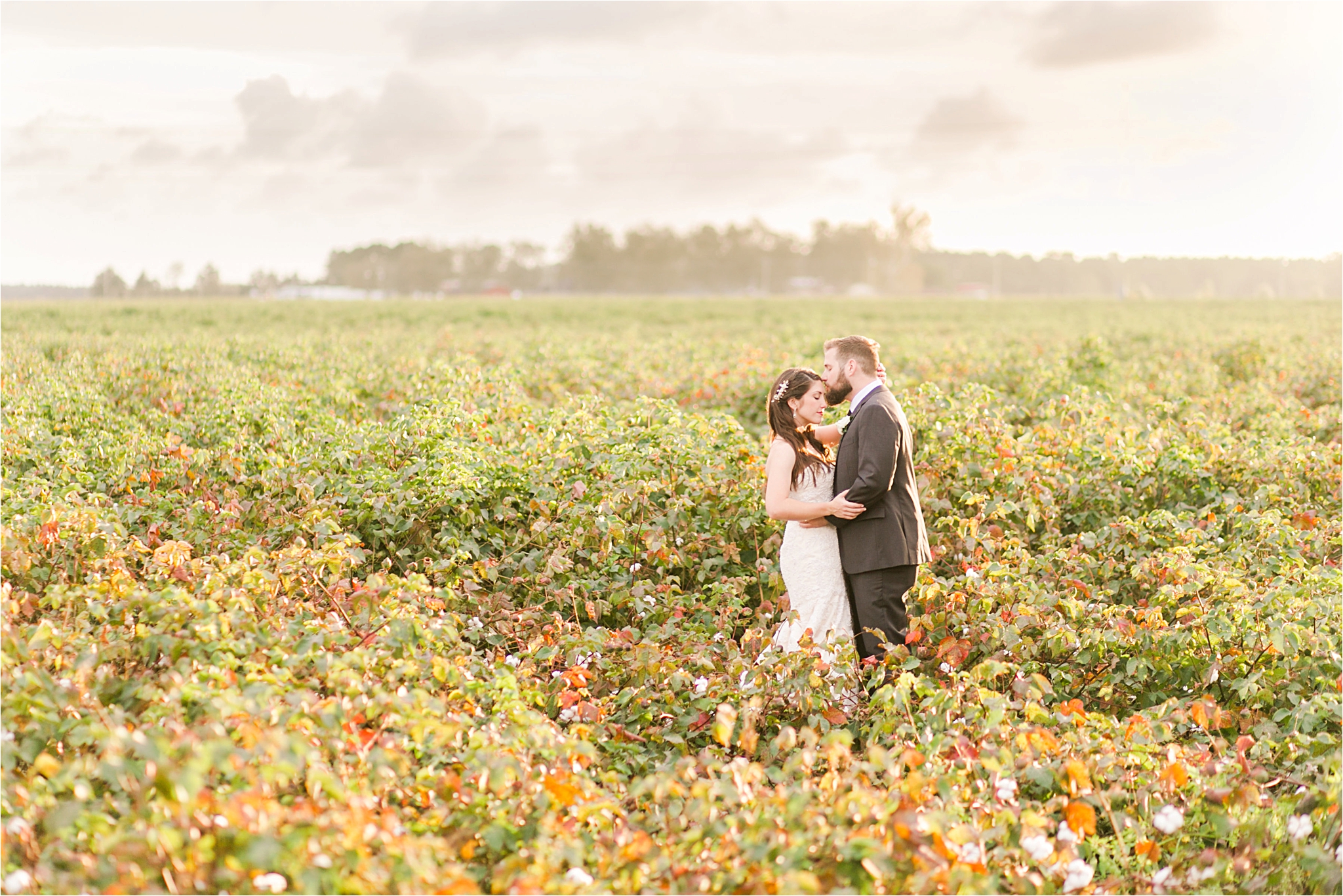 bride and groom photos-wedding day-venue departure-off into the sunset-cotton field-whimsical