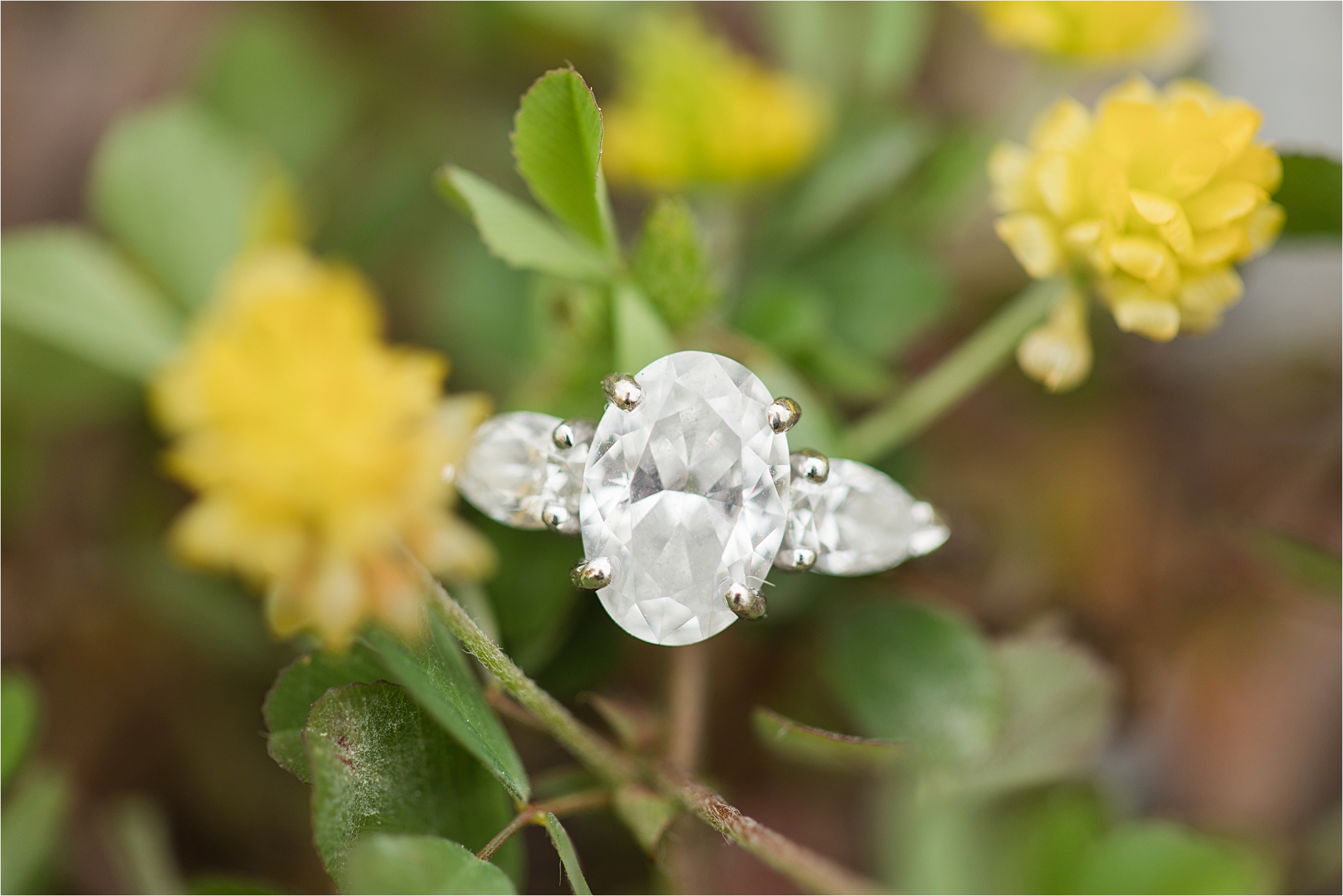 engagement-session-oval-diamond-cut-three-stone-3-white-gold