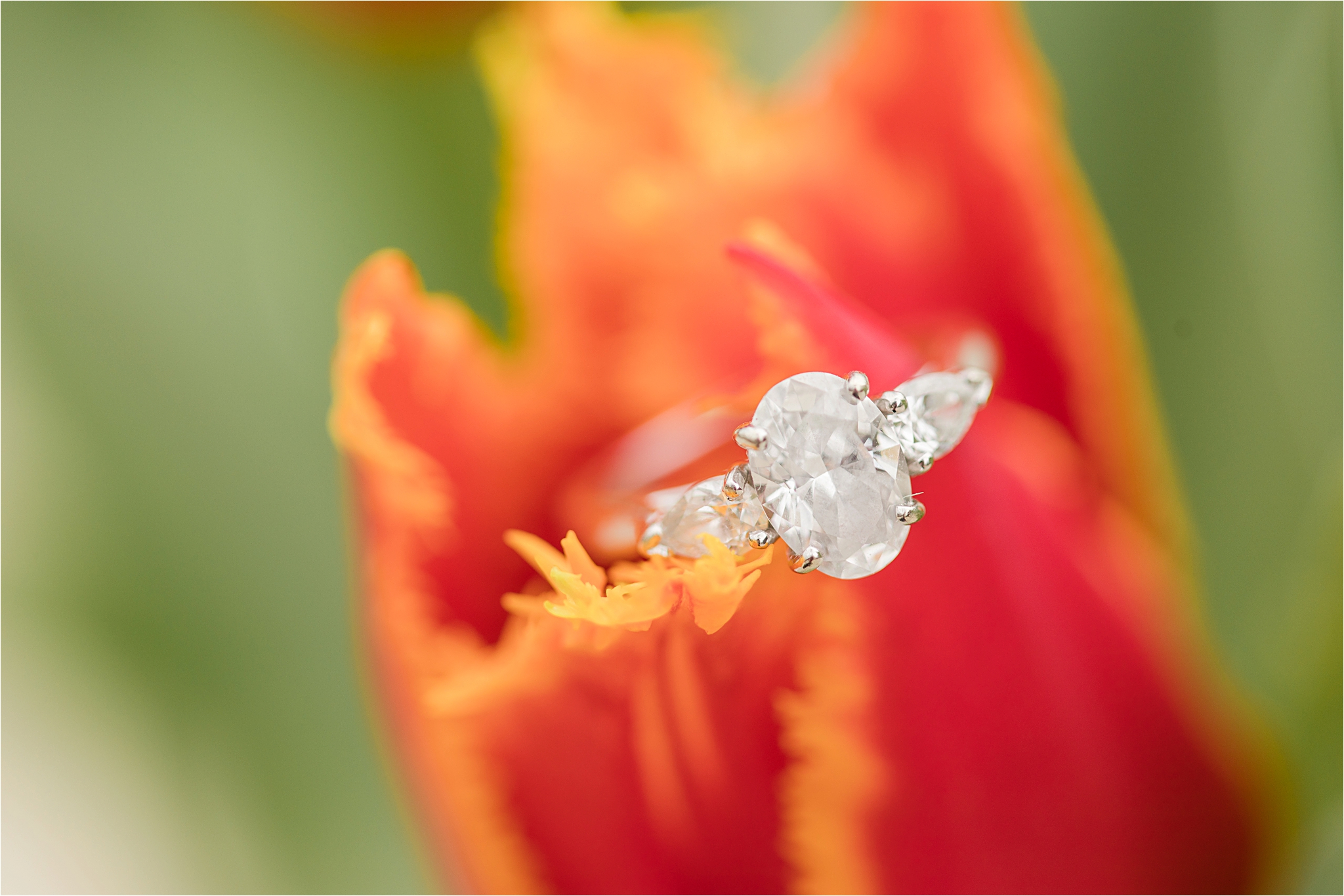 engagement-sessions-oval-diamond-cut-three-stone