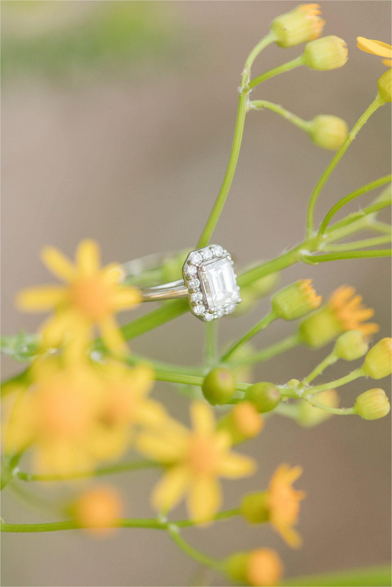 Alabama engagement session locations-Baldwin County-Blakeley State Park-Mobile Alabama wedding photographer-engagement ring-emerald cut-diamond halo