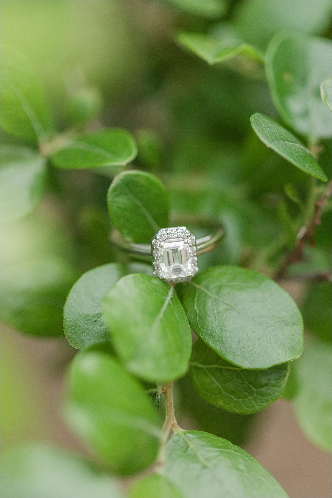 Engagement ring-white gold-emerald cut-diamond halo-Alabama engagement session locations-Baldwin County-Blakeley State Park-Mobile Alabama wedding photographer